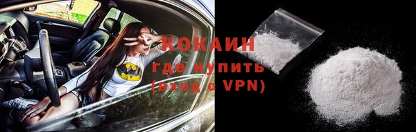 твердый Богородицк