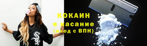 твердый Богородицк