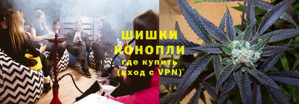 бошки Богданович