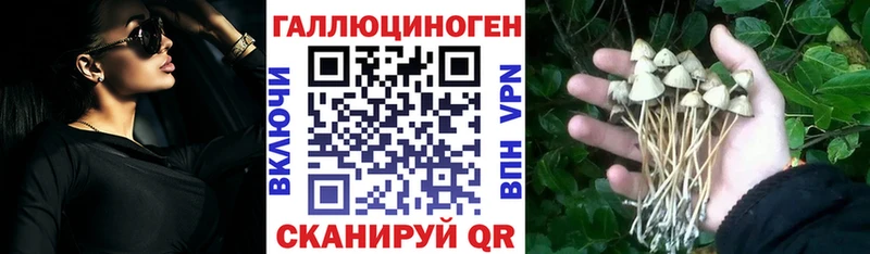 Галлюциногенные грибы прущие грибы  где найти   Муравленко 